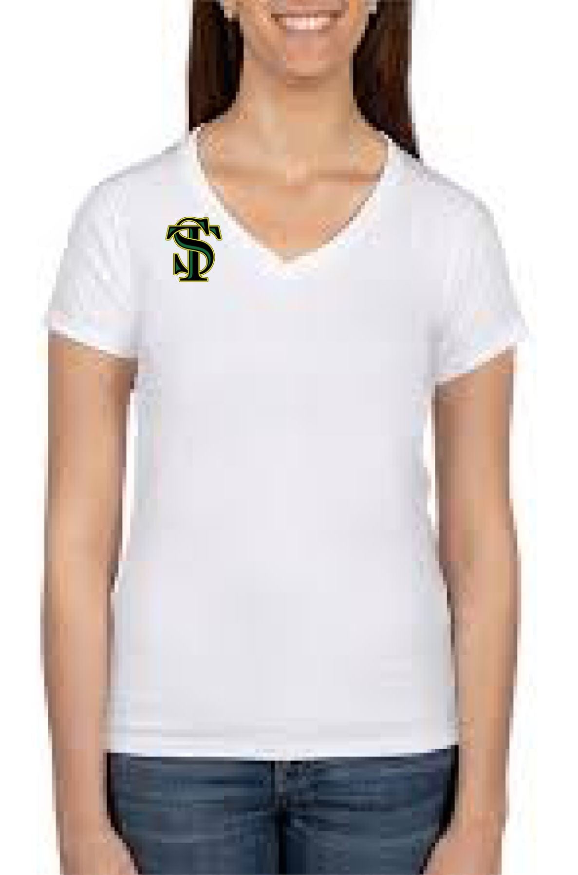 Gildan Heavy Cotton Ladies V-Neck T-Shirt STCS ST
